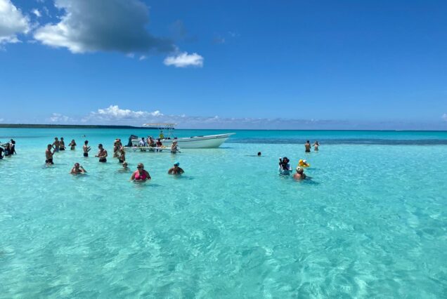 Saona Island Experience – Catamaran & Speed Boat